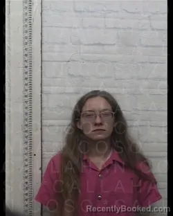Mugshot of JESSICA ANN ANDREWS