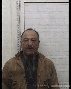 Mugshot of INES ZAMORON HERNANDEZ