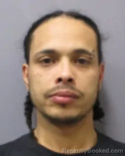 Mugshot of LUIS A HERNANDEZ