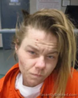 Mugshot of NICOLE R KRUGER