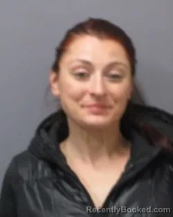 Mugshot of JANELLE A VENNETT