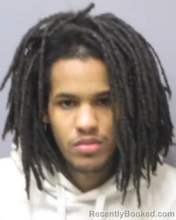 Booking photo from Montgomery County, New York