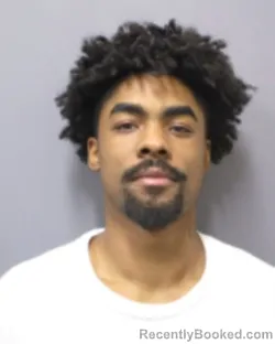 Booking photo from Montgomery County, New York