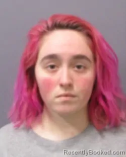 Booking photo from Montgomery County, New York