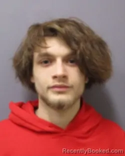 Mugshot of DEVIN C WOODCOCK