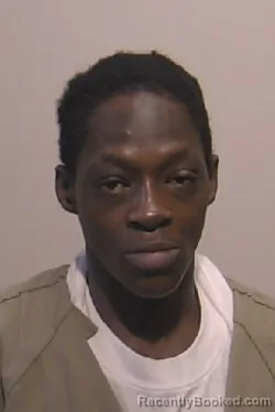 Mugshot of Felicia Maria McNeil