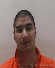 Mugshot of ALMANZA FELIX