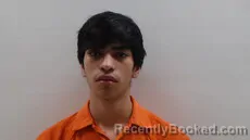 Mugshot of TREVINO NICHOLAS DOMINGO