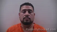 Mugshot of SNAVELY NELSON