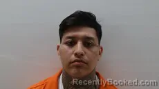 Mugshot of CARMONA RONALDO