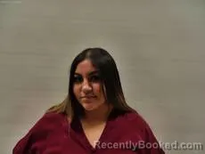 Mugshot of HERNANDEZ ASHLEY MARIE