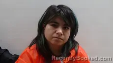 Mugshot of VILLARREAL JESSICA RENEE