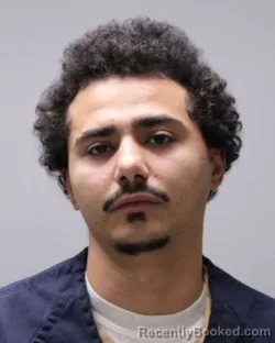 Mugshot of PETER FLEMING