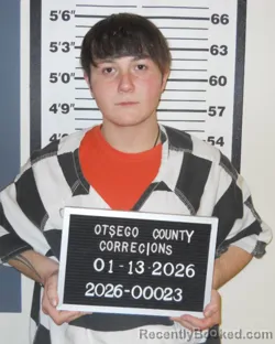 Mugshot of MAXX ELLIS COLE