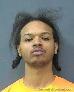 Mugshot of RODNEY SOLISE