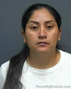 Booking photo from Rockland County, New York