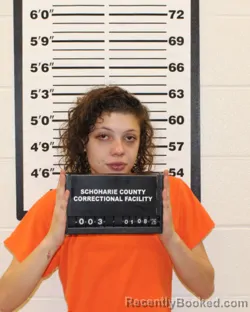 Mugshot of LILLY MARY CLARKE