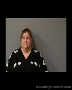 Booking photo from Schuyler County, New York