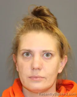 Booking photo from Seneca County, New York