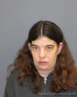 Booking photo from Seneca County, New York