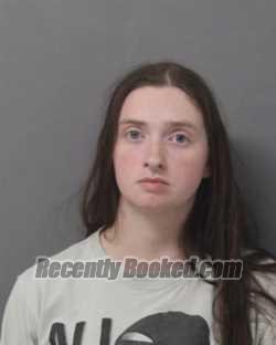 Booking photo from Steuben County, New York