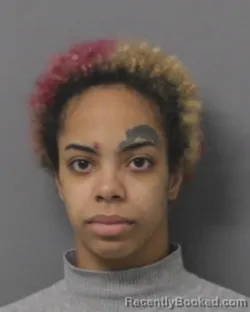 Mugshot of DAWNMARIE JUNE PINCKNEY