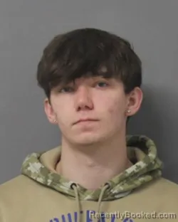 Mugshot of JAMIE LEWIS LINDSAY