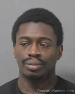 Mugshot of ANTHONY DAVID WEBB