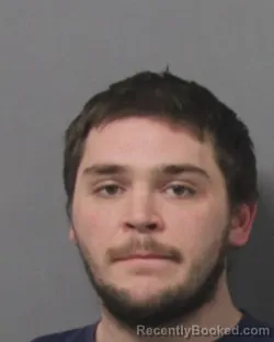 Mugshot of BROCK DAVID LEWIS