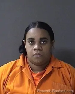 Mugshot of Alfa Rivera  Peguero