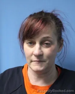 Mugshot of LISA A LAPOMA