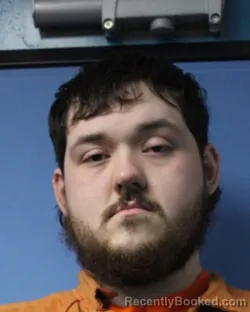 Mugshot of DEAN J LANNING