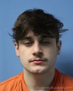 Mugshot of TRENT T BASILE