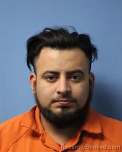Mugshot of LUIS D GOMEZ