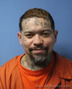 Mugshot of ANGEL COLON