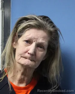 Mugshot of ROBIN DESHONG