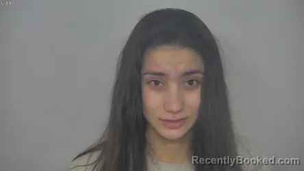 Booking photo from Burleigh County, North Dakota