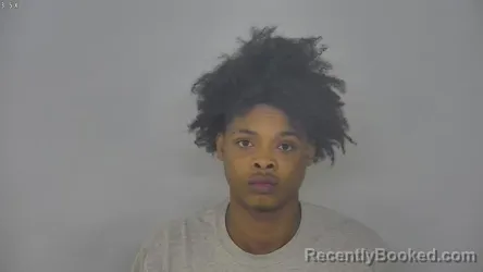 Mugshot of ADRENE JEROME GRAY