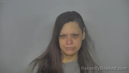 Mugshot of AMANDA JEAN HIGGINS