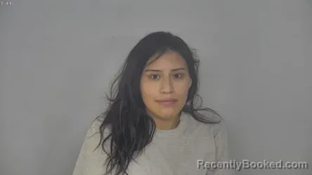 Mugshot of ANGELICA ANN WOLF