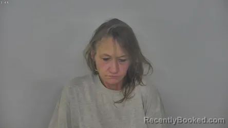 Mugshot of BRENDA LEE GAWRYLUK