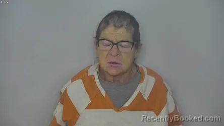 Mugshot of JANET LYNN ERFLE