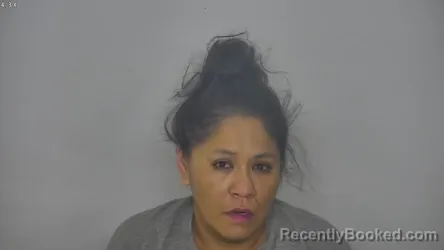Mugshot of STACEY MARIE DOGSKIN