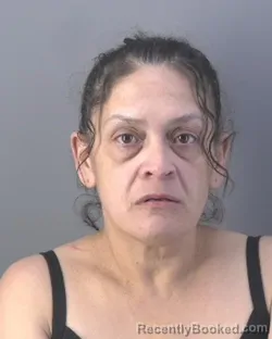 Mugshot of LISA MICHELLE DELGADO