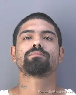 Mugshot of DANIEL SANMIGUEL GALLEGOS
