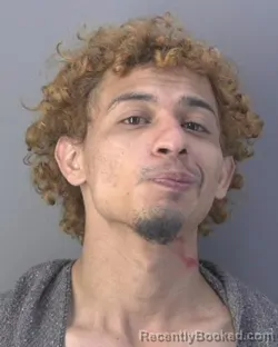 Booking photo from Hendry County, Florida