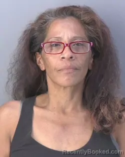 Mugshot of MARIA DEJESUS CHAVARRIA