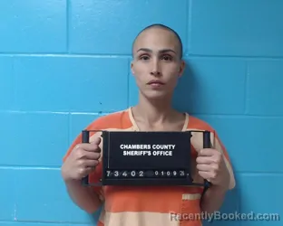 Mugshot of Courtney Irene Johnston