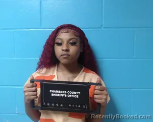 Mugshot of Skyla Renee Zachary