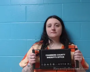 Booking photo from Chambers County, Texas